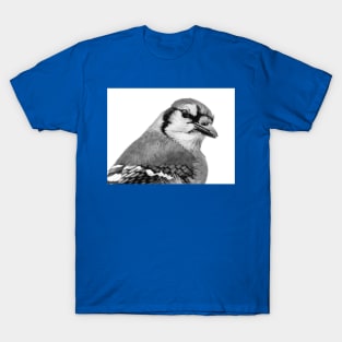 Blue Jay T-Shirt